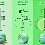 Difference between linear economy , recycling economy and circular economy