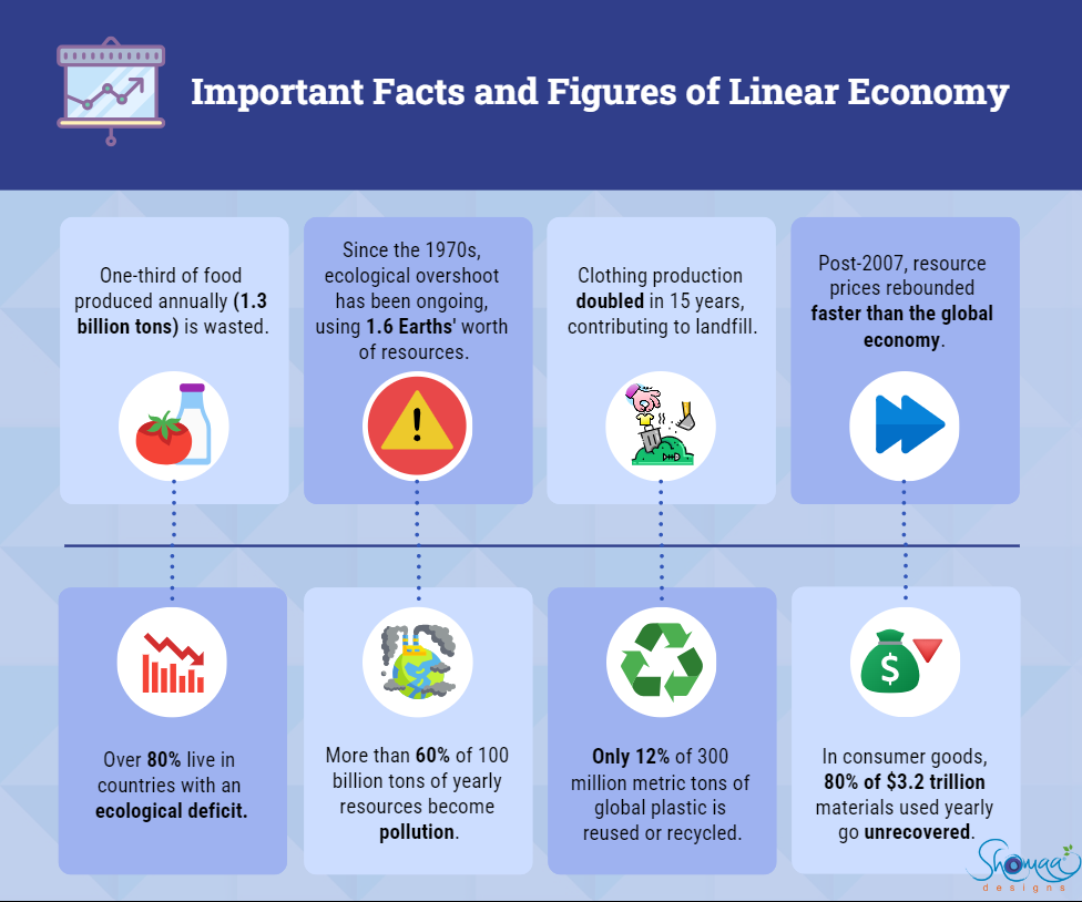Facts and figures of linear economy